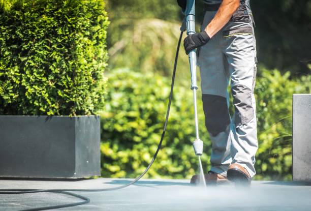 Best Building Exterior Washing  in Seth Ward, TX