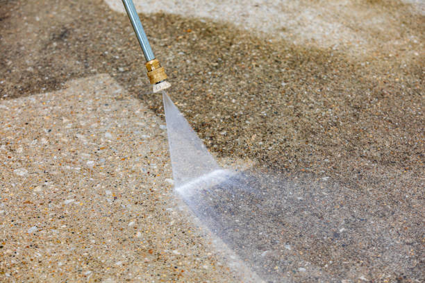 Best Soft Washing  in Seth Ward, TX