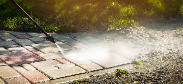 Best Sidewalk and Walkway Cleaning  in Seth Ward, TX